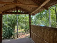 Little Monkey Camp - bar