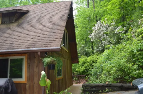 Lindal cedar home located next to Dupont State Recreational Forest.