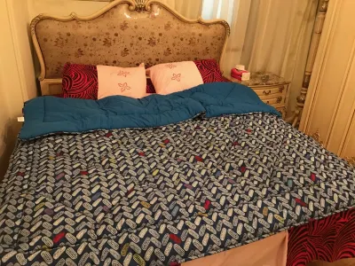 Classy excellent  well furnished full equipped apartment at new maadi Hotel in zona Misr Pharmacies - Maadi -  Nasr Branch