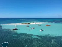 Anse des Rochers Lovely "Fruit passion" studio with sea view.