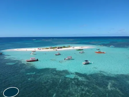 Anse des Rochers Lovely "Fruit passion" studio with sea view.