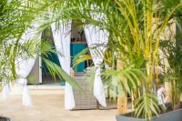 THE KAZA NONO GOSIER--