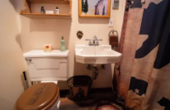 Arrowhead, A/C, Private Jacuzzi, Huge Backyard, 65" TV, Fully Stocked, Dogs OK.