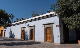 Casa Carmen Xólotl