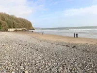 Pinewood Hotels in Saundersfoot