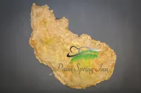 Palm Spring Inn Hotels in Oranjestad
