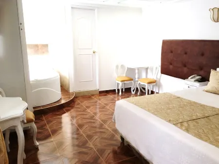 Hotel Boutique Feria Internacional Отели рядом с достопримечательностью «Университет Насьональ де Колумбия»