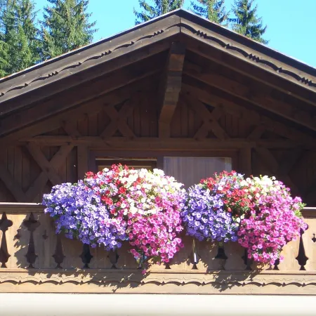 Das Alpen Natur Idyll