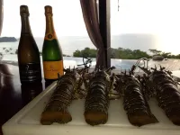 Camino del Sol Hoteles en Mariato