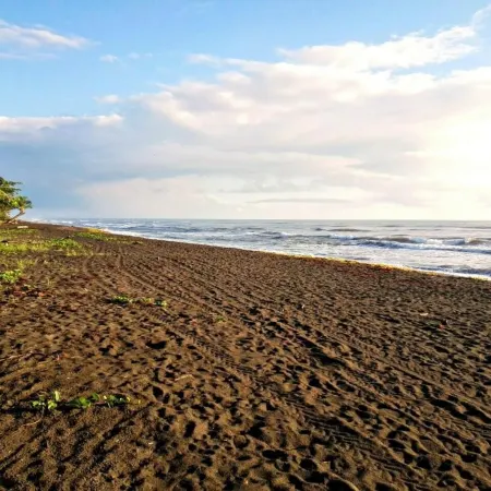 Casa Turtle Bogue - Hostel
