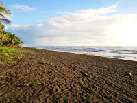 Casa Turtle Bogue - Hostel - hostel