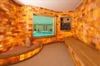 Hôtel du Parc, Restaurant, Spa & Wellness - ที่มีสปา