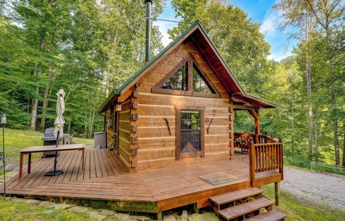 Cozy Log Cabin on 11 Acres 3 Mi to Cherokee Lake!