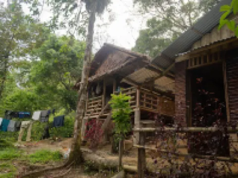 Holiday Rental in Sumatra Hotels in Langkat Regency