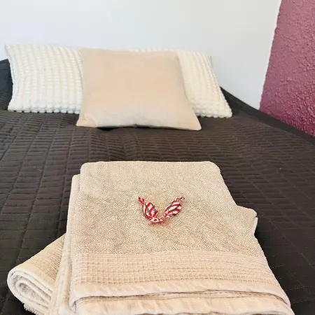 Comfy Studio Apt with Prime Location