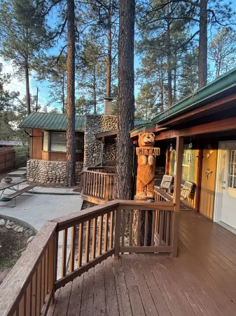 Dreaming Tree 1 & 2 where dreams are made!