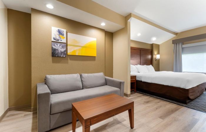 Comfort Suites