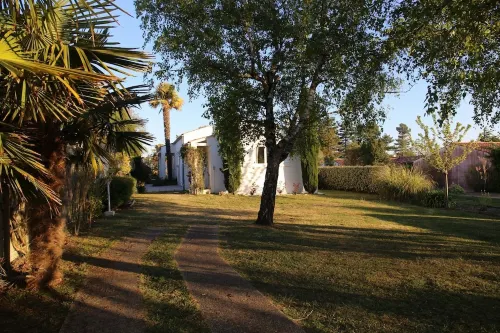 Quiet house in greenery 700m from the sea