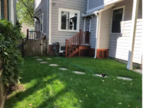 Quiet, private 1 bedroom garden apt near Harvard/MIT, sleeps 4 adults + 1 infant