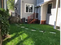 Quiet, private 1 bedroom garden apt near Harvard/MIT, sleeps 4 adults + 1 infant