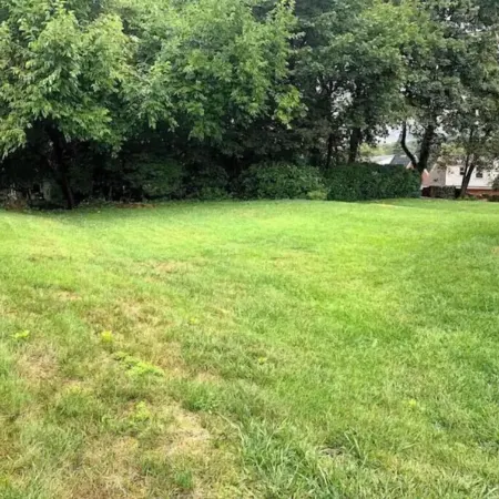 Remodeled 2Br/1.5B, Huge Yard, Off Street pk, Futon