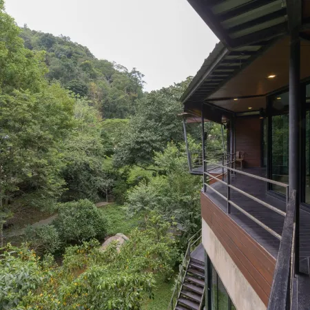 The Stream House