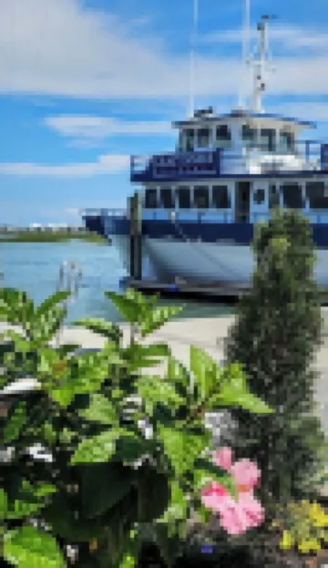 Charming Unique Cabin:The Little House in the Inlet!