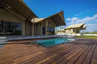 Untamedpaws Hotels in Yavatmal