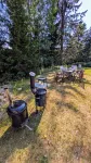 Bright and Spacious Living in Historic Building Hotels near Barsta Kapell