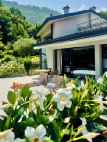 일 펠로 파노라마