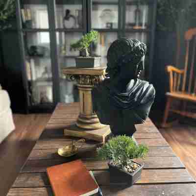 Apollo's Place Others