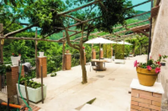 CASALE GELSI APARTMENT (SPRING)AMALFI COAST