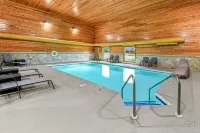 Comfort Inn - Pool