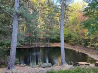 Unique Cozy private 1-bedroom apartment in charming Temple 템플 호텔