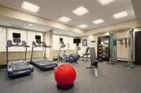 Hampton Inn Lexington Park - Gym