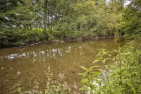 Creekside Berkeley Springs Cabin on 35 Acres! - Spa