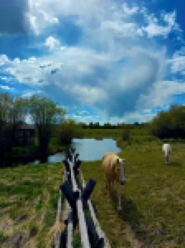 Pinedale's Mountain Vista