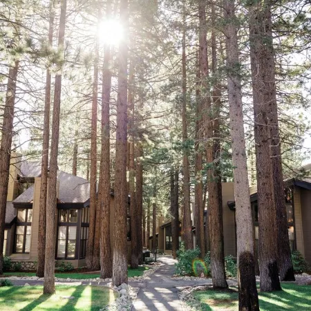 Spring Ski Escape – Steps to Lifts in Mammoth