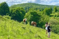 Ferienwohnung Wache im Haus Gerlach Hotels in Walkenried