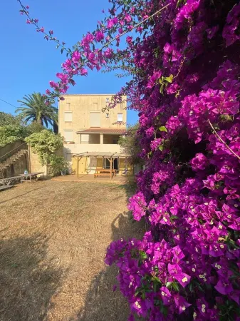 Apartment like a home Lumio - Beaches 5 minutes away Отели в г. Лумио