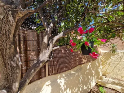 La Maddalena Holiday Home Hotels near Parco Nazionale dell'Arcipelago di La Maddalena