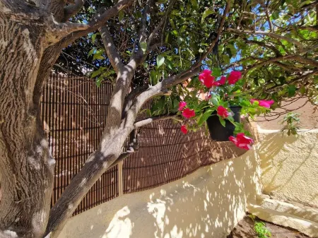 La Maddalena Holiday Home Отели рядом с достопримечательностью «Архипелаг Маддалена»