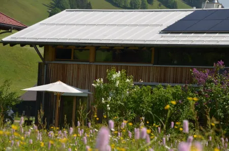 2024 rethought: live in peace and style, with a sauna and garden just for you