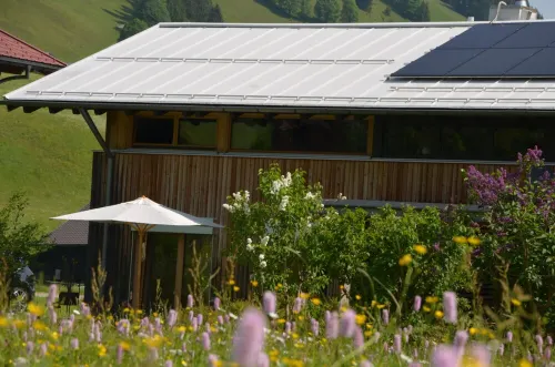 2024 rethought: live in peace and style, with a sauna and garden just for you