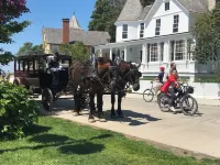 Northern MI Log Cabin Inn–Hot Tub, Trails, Golf, Trails, Nature, Snowmobile, Ski - 小木屋