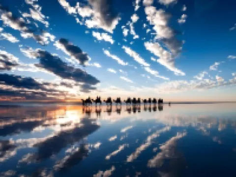 キンバリー トラベラーズ ロッジ - ホステル ブルームのホテル