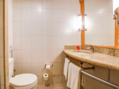 イビス リオデジャネイロ ボタフォゴ リオデジャネイロのホテル