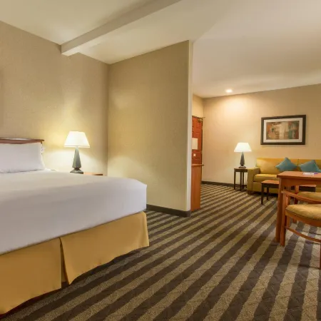 Holiday Inn Express & Suites MANTECA CITY CENTER by IHG