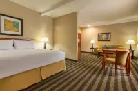 Holiday Inn Express & Suites MANTECA CITY CENTER by IHG - Pool