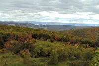 Secluded Mountain Cabin in Wardensville! - 3-Star